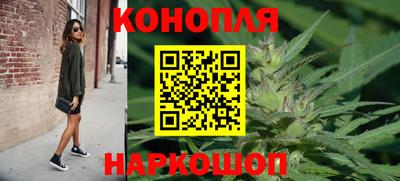 крисы Гай