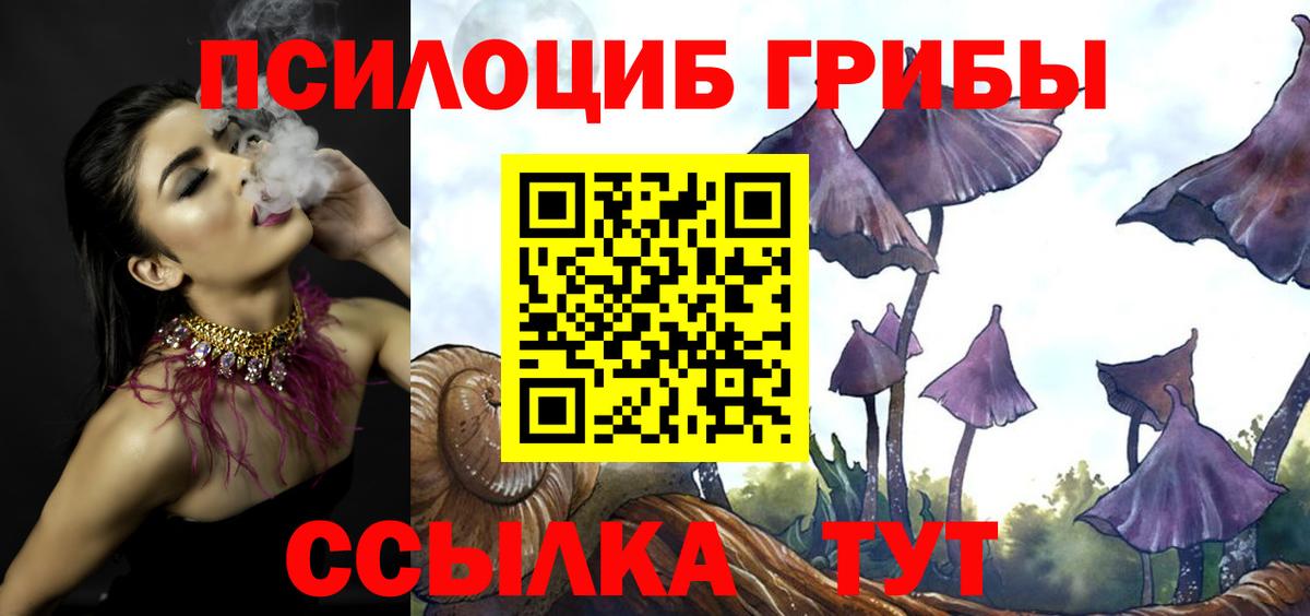 Галлюциногенные грибы Cubensis  Вход с VPN  Нижнеудинск 
